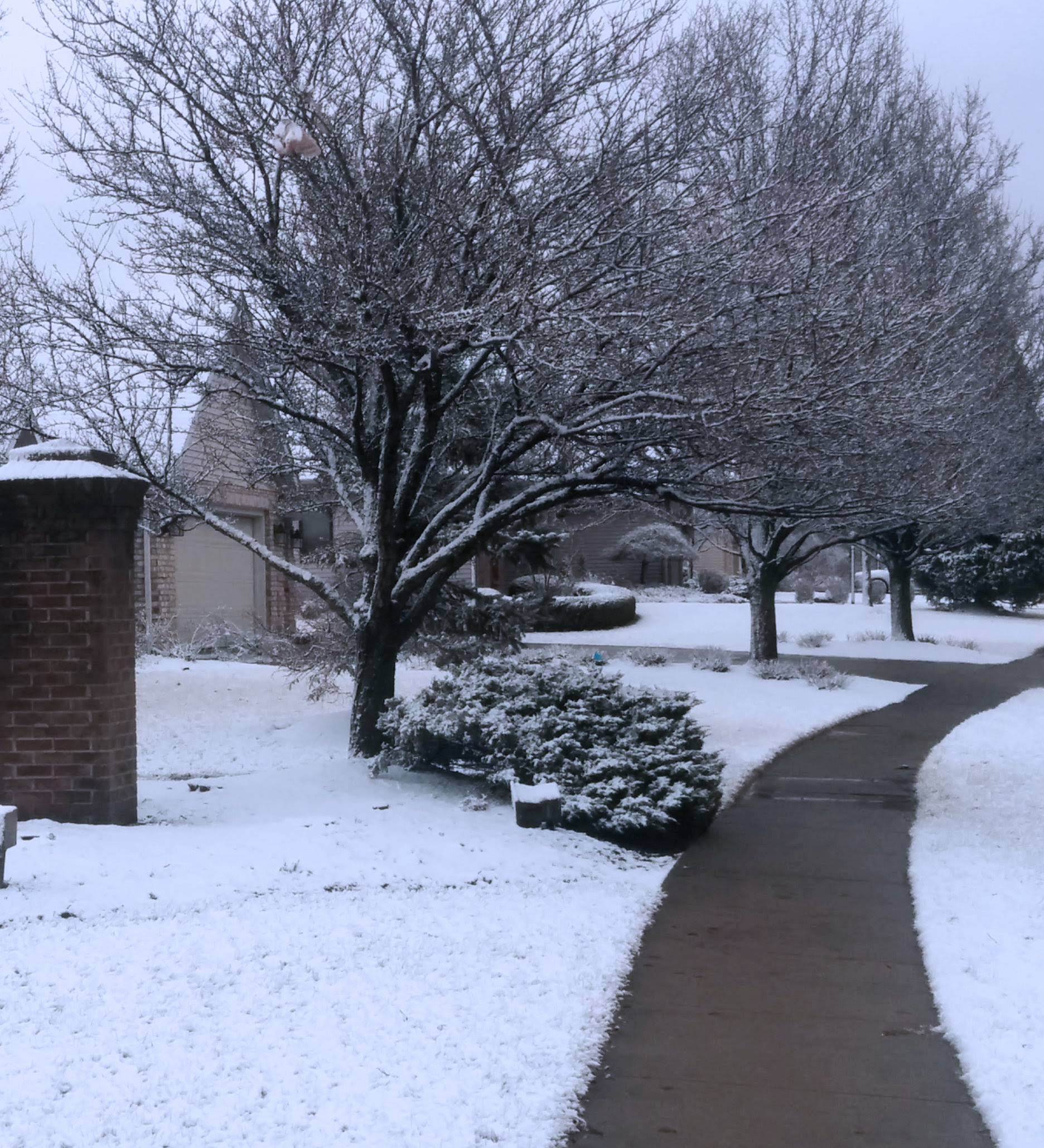 Winter Sidewalk Scene, Westchester Ridge