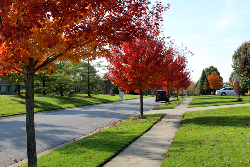 November 3, 2017: White Cedar Road towards Scott Road