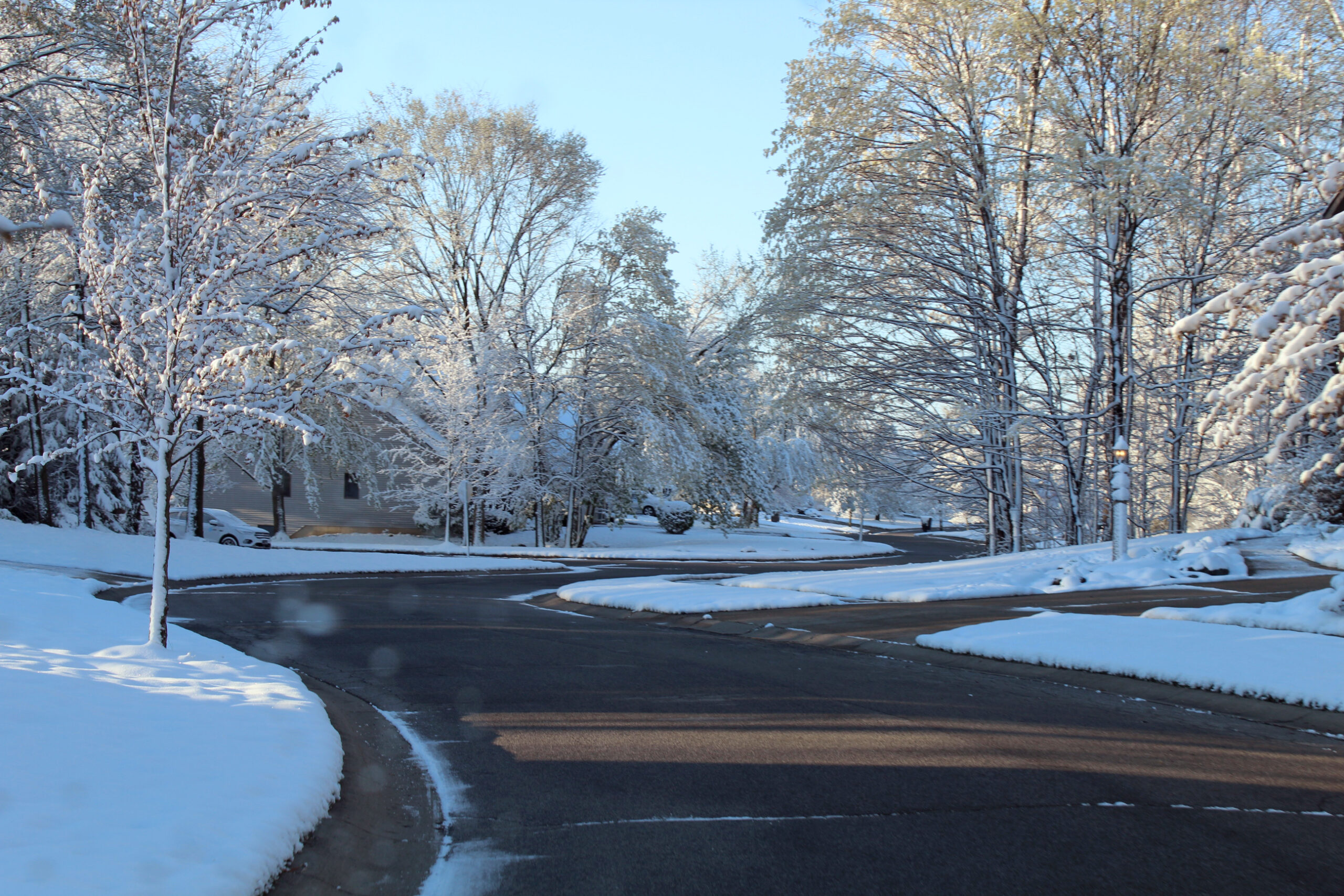 Silver Linden Court, April 21, 2021